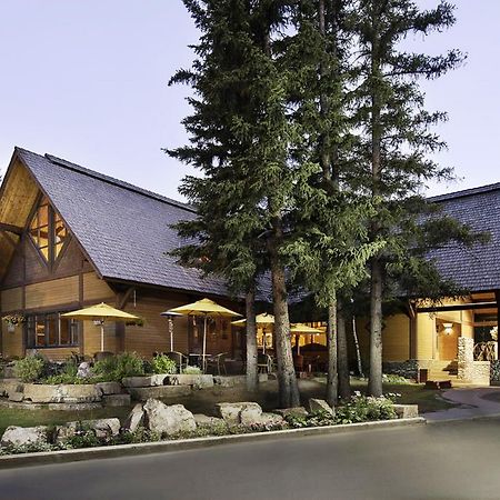 Buffalo Mountain Lodge Banff Ngoại thất bức ảnh