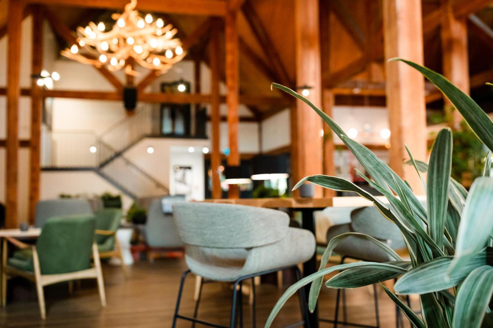 Buffalo Mountain Lodge Banff Ngoại thất bức ảnh